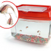 Triops